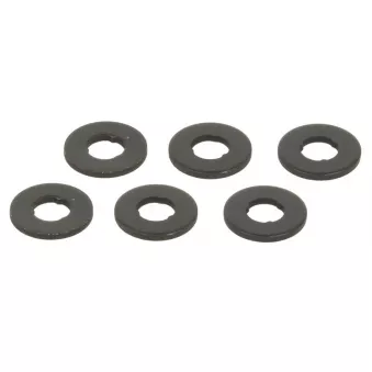 Composants de l'injecteur LEMA