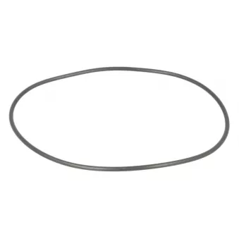 Joint de pompe à eau LEMA