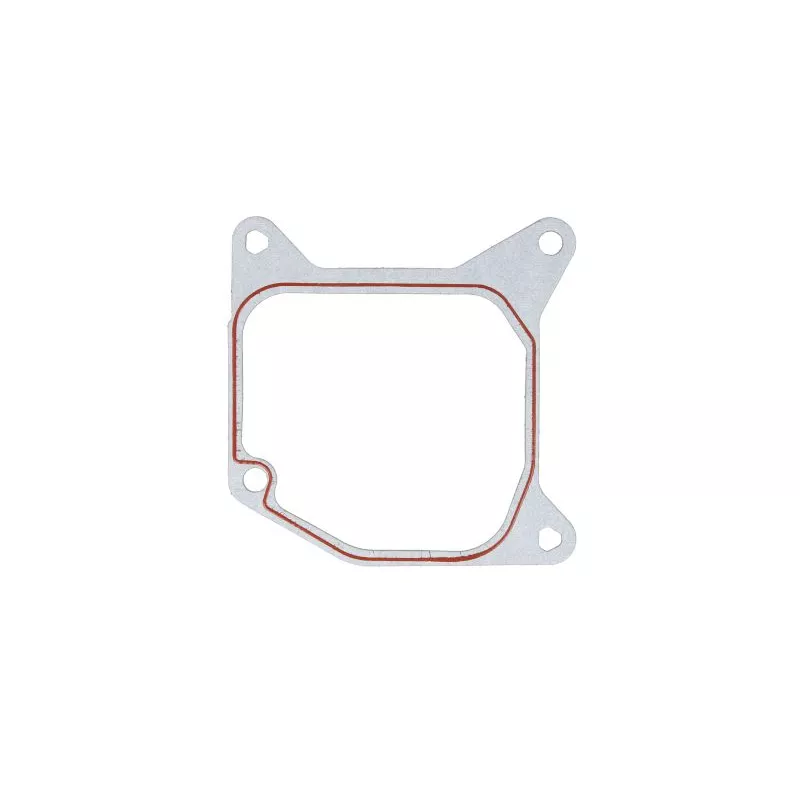 Joint d'étanchéité, collecteur d'admission LEMA 21250.19