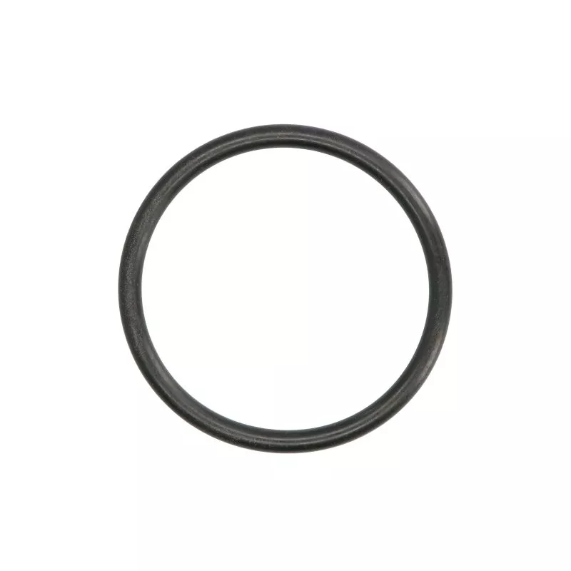 Joint de pompe à eau LEMA 108087