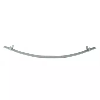 Lame de suspension TES