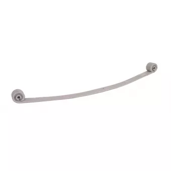 Lame de suspension TES