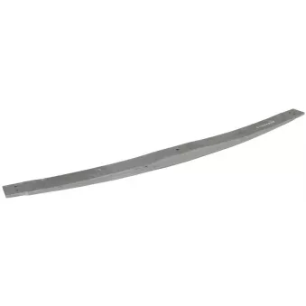 Lame de suspension TES