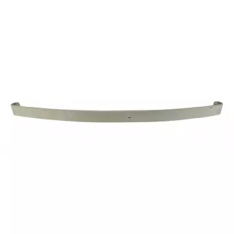 Lame de suspension TES