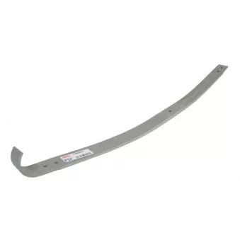 Lame de suspension TES