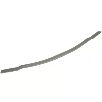 Lame de suspension TES