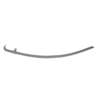 Lame de suspension TES