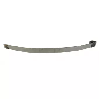 Lame de suspension TES