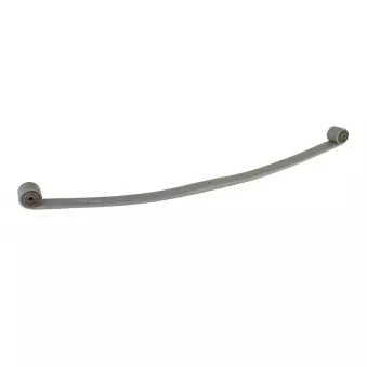 Lame de suspension TES