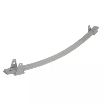 Lame de suspension TES