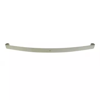 Lame de suspension TES