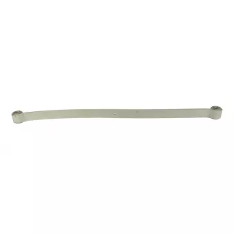 Lame de suspension TES