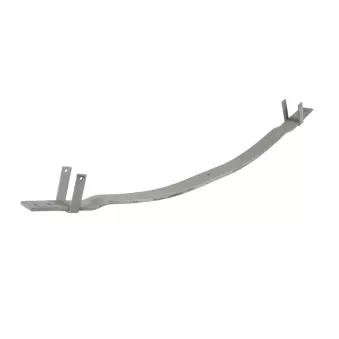 Lame de suspension TES