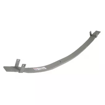 Lame de suspension TES