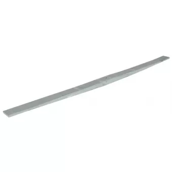 Lame de suspension TES