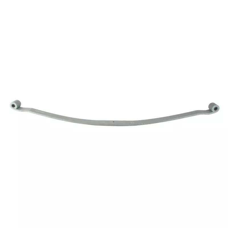 Lame de suspension TES 7280900119 Z/T