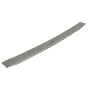 Lame de suspension TES