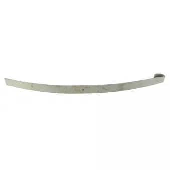 Lame de suspension TES