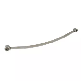 Lame de suspension TES