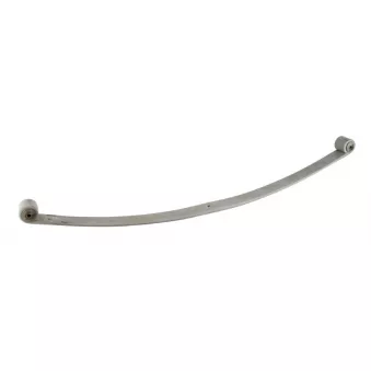 Lame de suspension TES