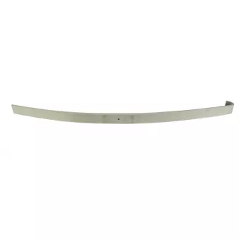 Lame de suspension TES