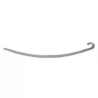 Lame de suspension TES