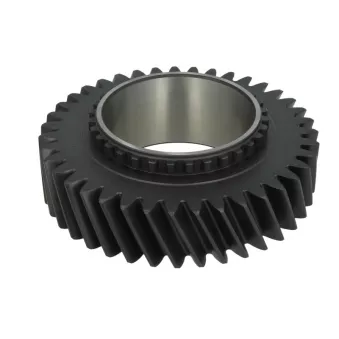 Roue dentelée, arbre principal EURORICAMBI