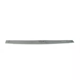 Lame de suspension TES