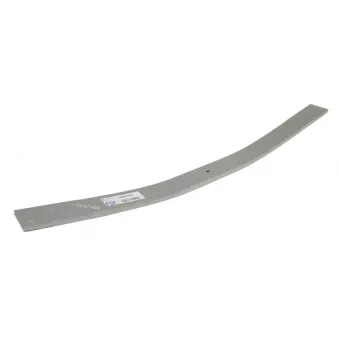 Lame de suspension TES