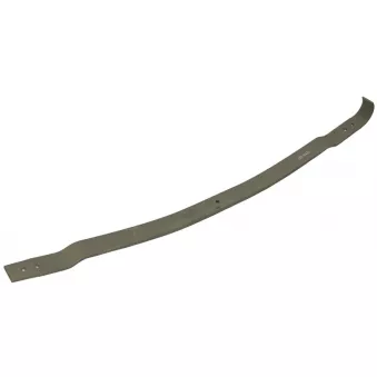 Lame de suspension TES