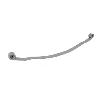 Lame de suspension TES