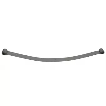 Lame de suspension TES