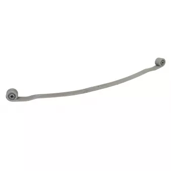 Lame de suspension TES