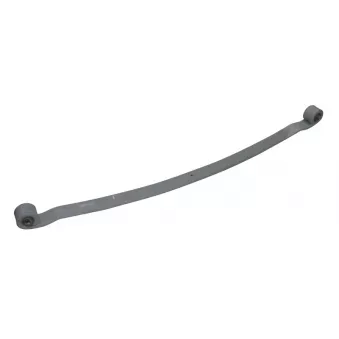 Lame de suspension TES