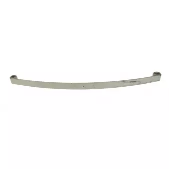 Lame de suspension TES