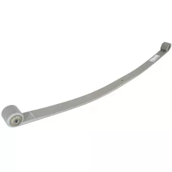 Lame de suspension TES