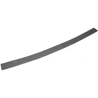 Lame de suspension TES