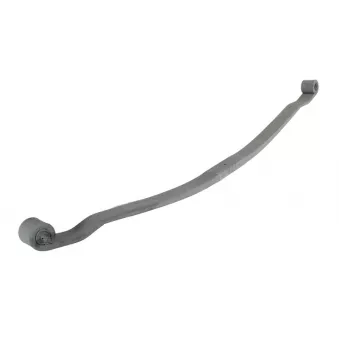 Lame de suspension TES