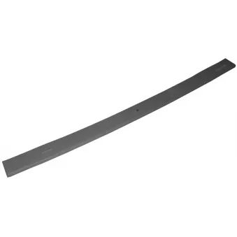 Lame de suspension TES