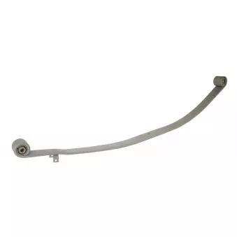 Lame de suspension TES