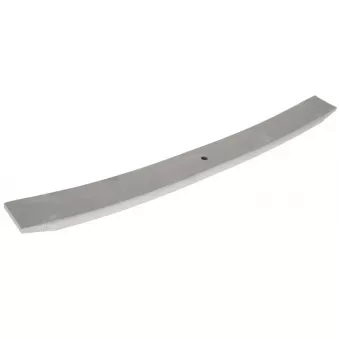 Lame de suspension TES