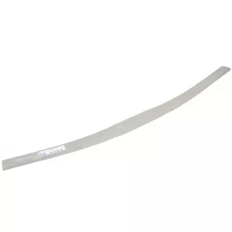 Lame de suspension TES