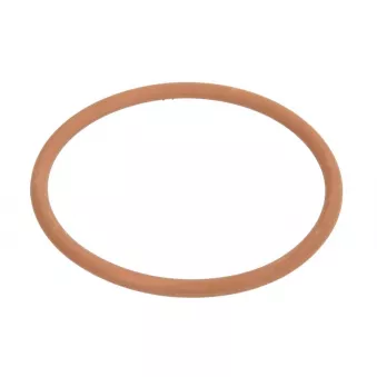 Joint d'étanchéité, boîtier du thermostat LEMA