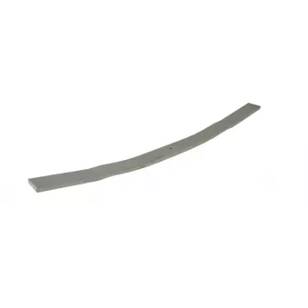 Lame de suspension TES