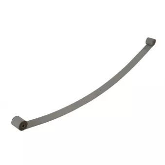 Lame de suspension TES