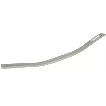 Lame de suspension TES