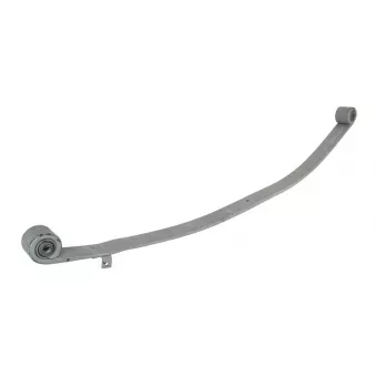 Lame de suspension TES