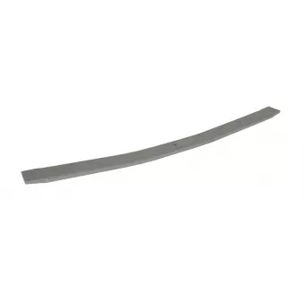 Lame de suspension TES