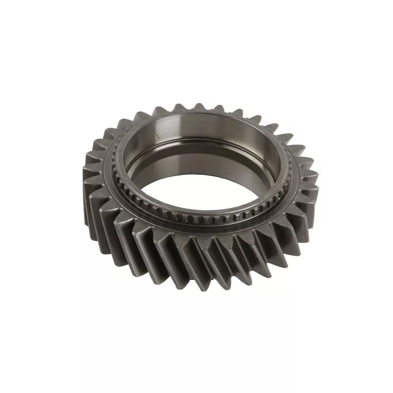 Roue dentelée, arbre principal EURORICAMBI 74530295