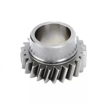 Roue dentelée, arbre intermédiaire EURORICAMBI